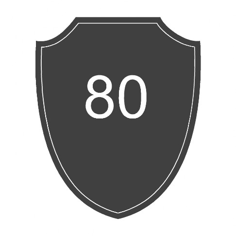 parche-escudo-bordado-080