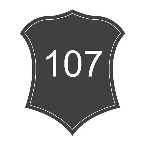 parche-escudo-bordado-107